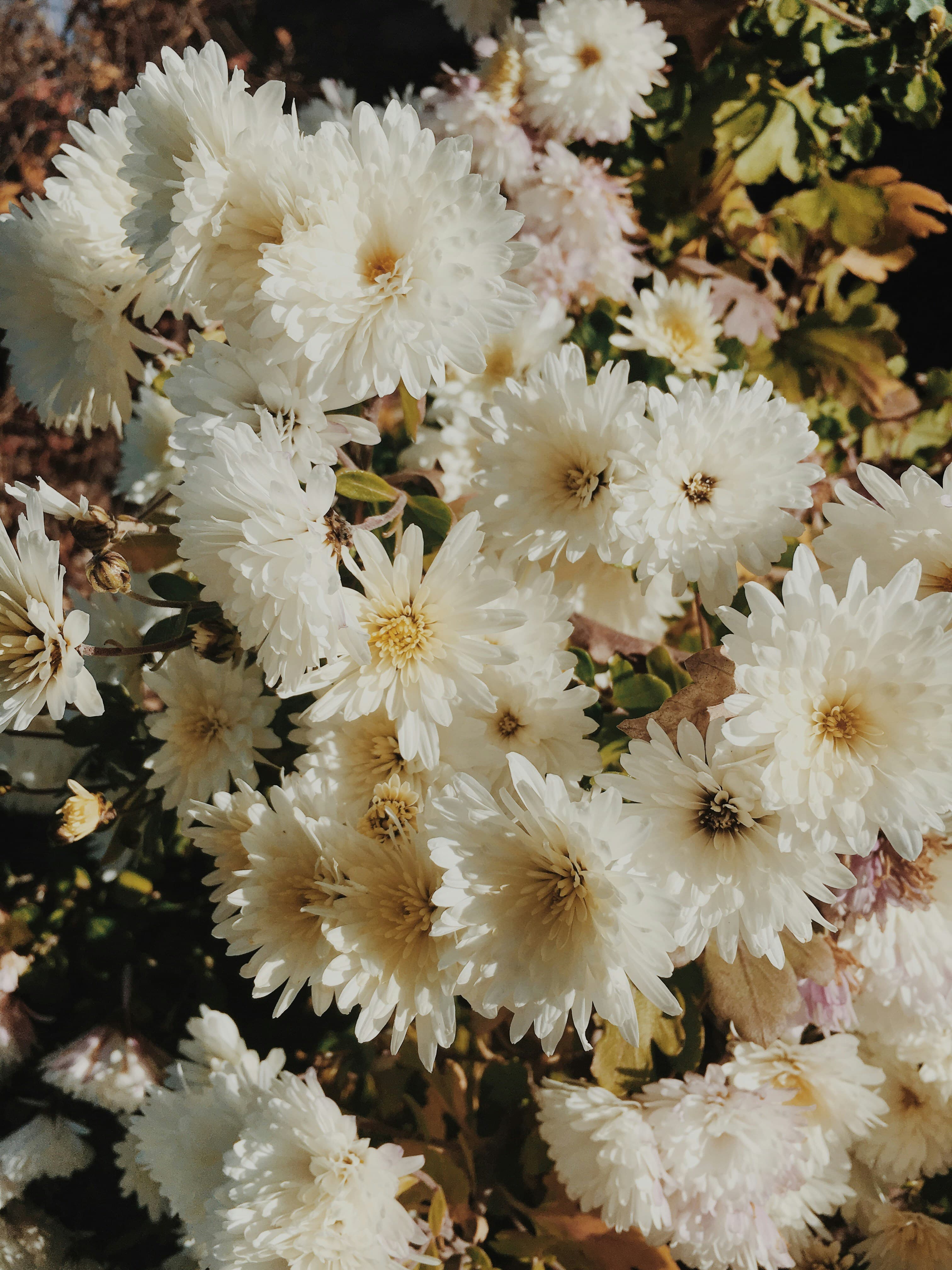 Background flower mosaic